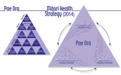 Te Puni Kōkiri mo te Hauora Māori
