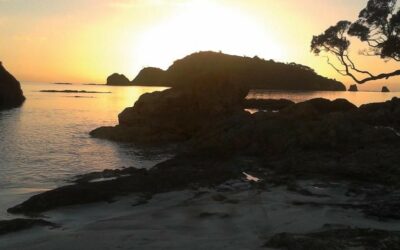Family, Community and Tribal Resilience (Whangārei, Northland).