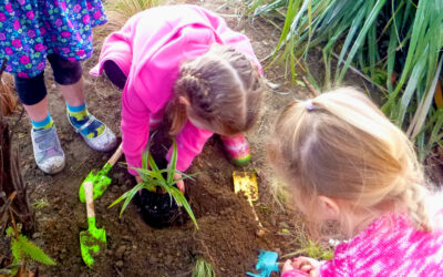 Planting the seeds of growth as a community (Hastings, Heretaunga)
