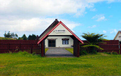 Traditional Systems Heal (Pukepoto : Northland)