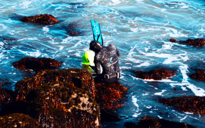 Diving into Mana Rangatahi (Waitematā: Tāmaki-makau-rau)
