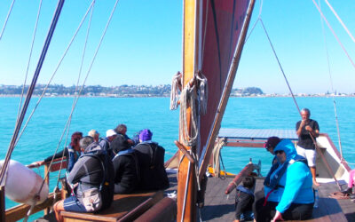 Passionate about Māori Whānau Well-being (Hastings : Heretaunga)